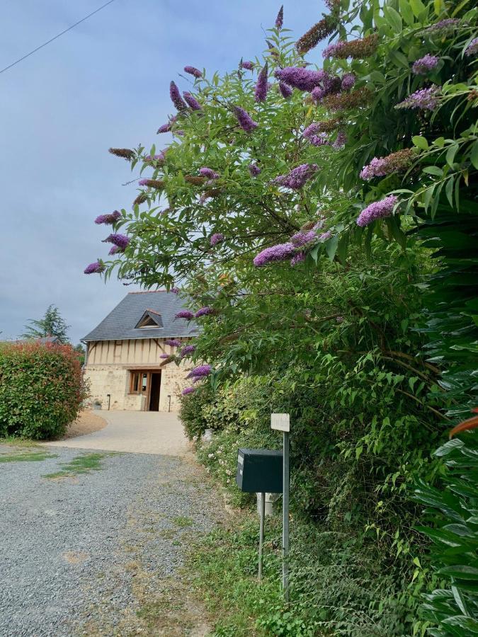 Le Logis de la Chouette Hotel Baugé Eksteriør billede