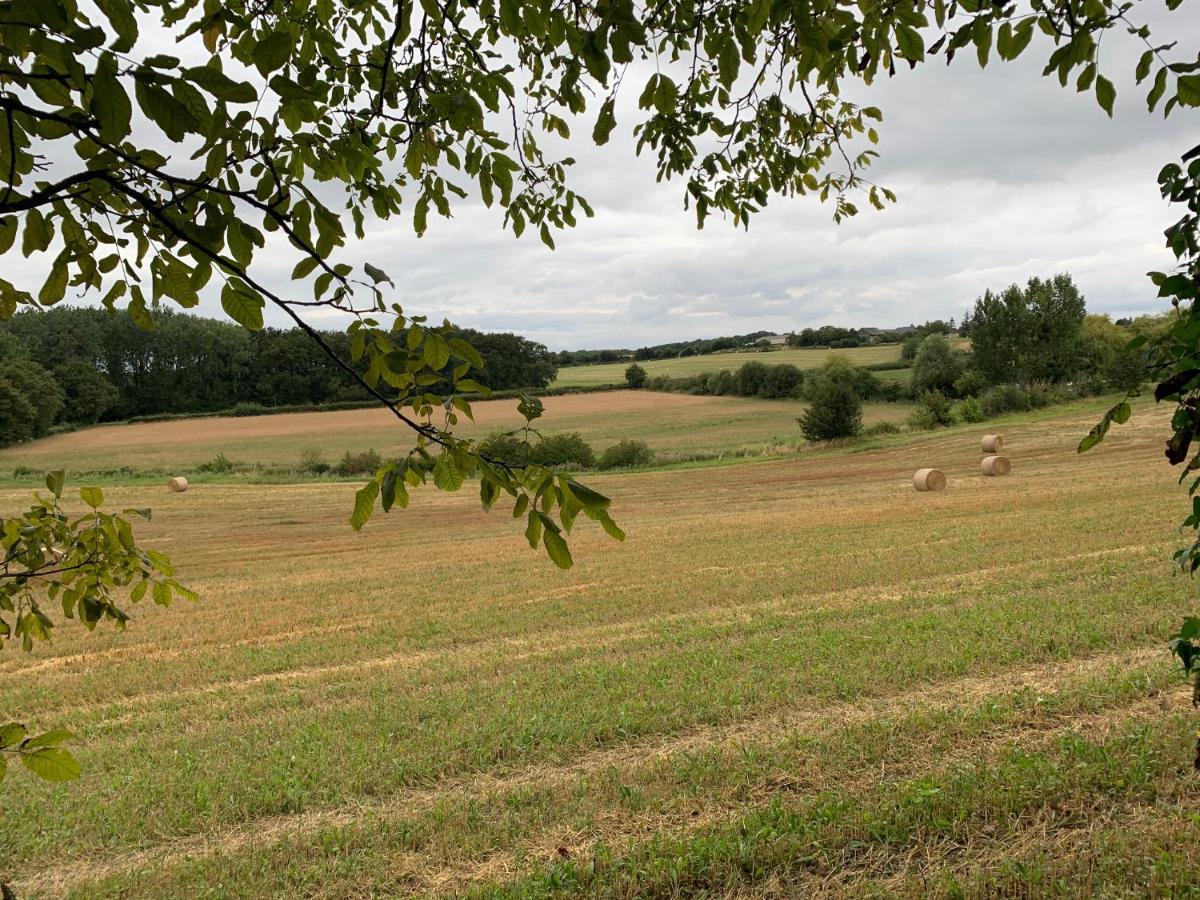 Le Logis de la Chouette Hotel Baugé Eksteriør billede